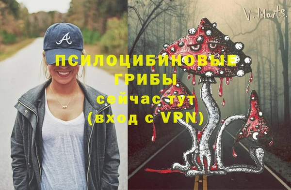 гидропоника Заводоуковск